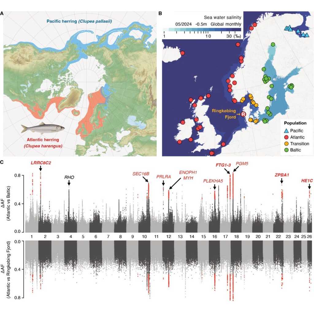 城西大学