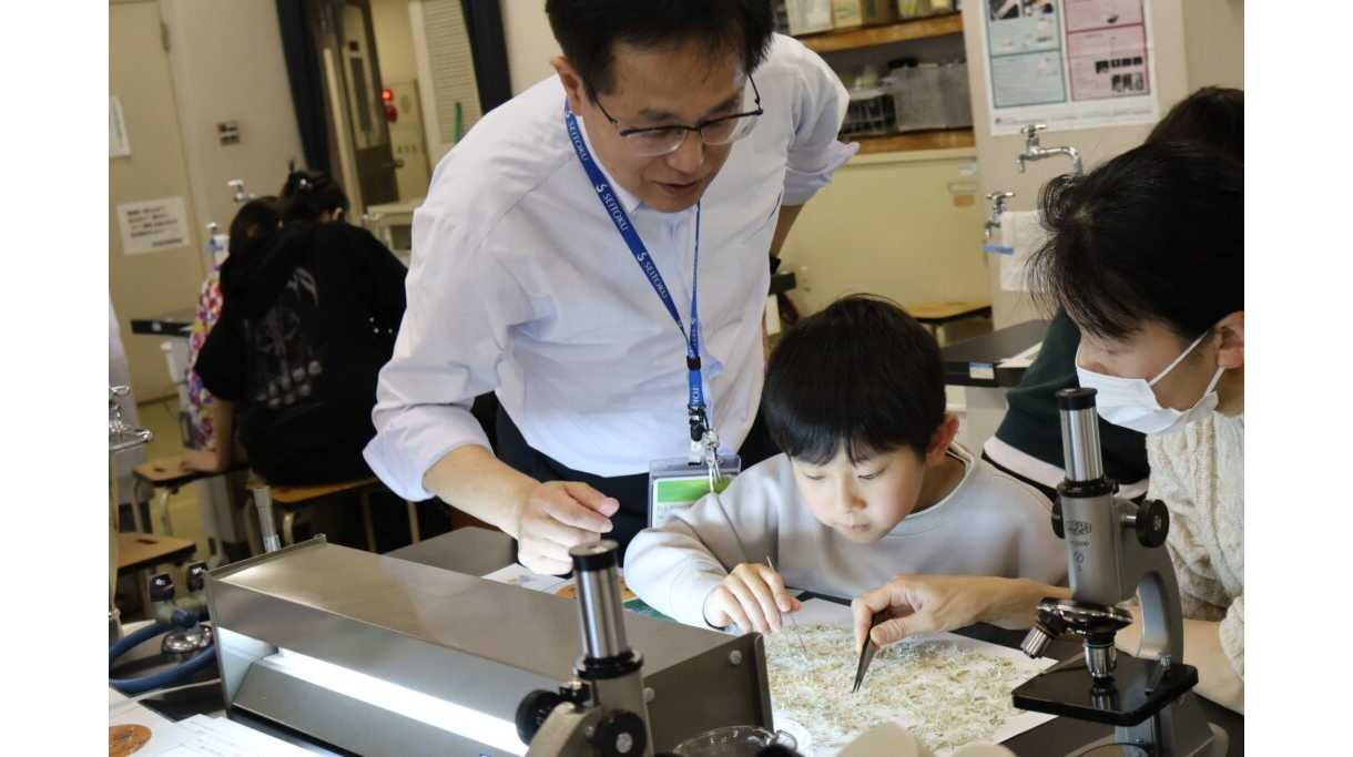 聖徳大学