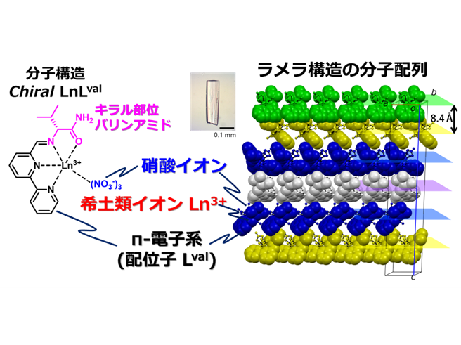 【青山学院大学】叩く・擦る程度の刺激で破砕し発光する希土類錯体のソフトクリスタルの開発とそのエネルギー変換機構の解明に成功。（長谷川美貴教授（理工学部　化学・生命科学科）らの研究グループ）