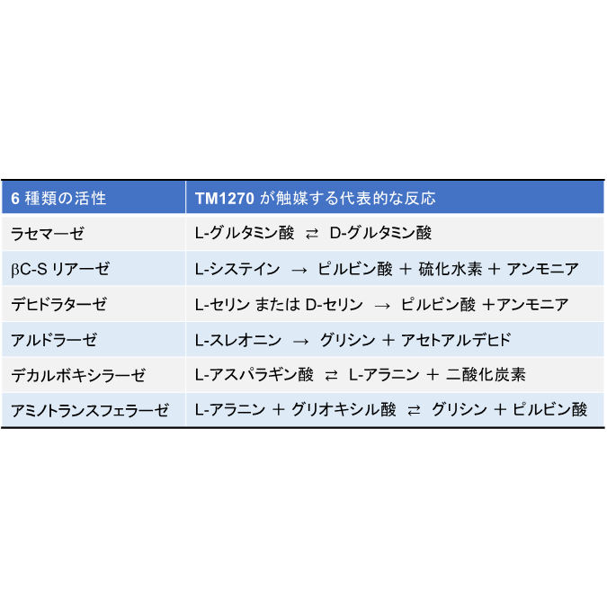 北里大学