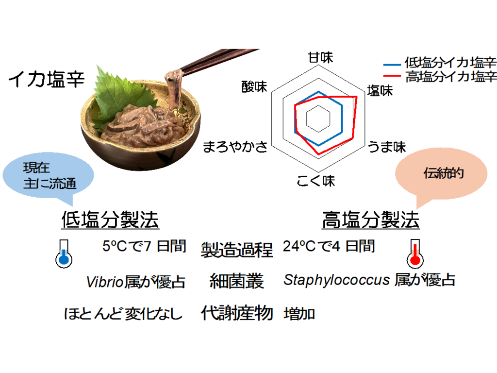 北里大学