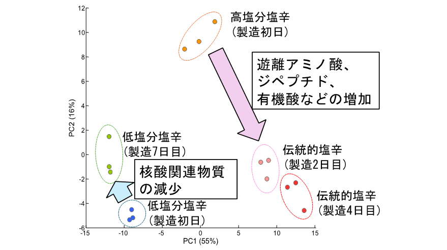 北里大学