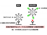 北里大学