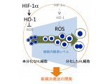 北里大学