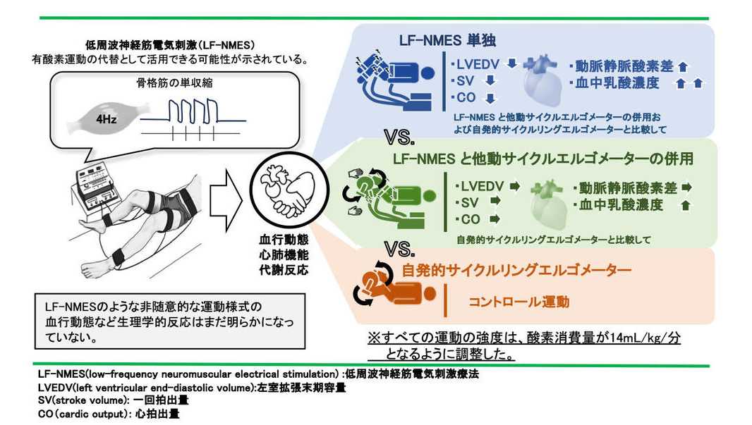 低周波神経筋電気刺激療法と他動サイクルエルゴメーターの組み合わせによる血行動態への影響を実証-- リハビリテーションへの新たな応用可能性 --