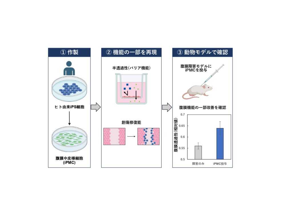 昭和医科大学
