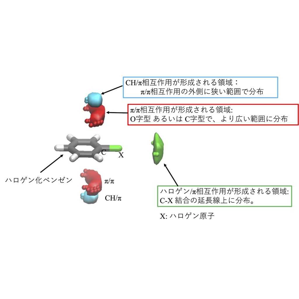 昭和医科大学