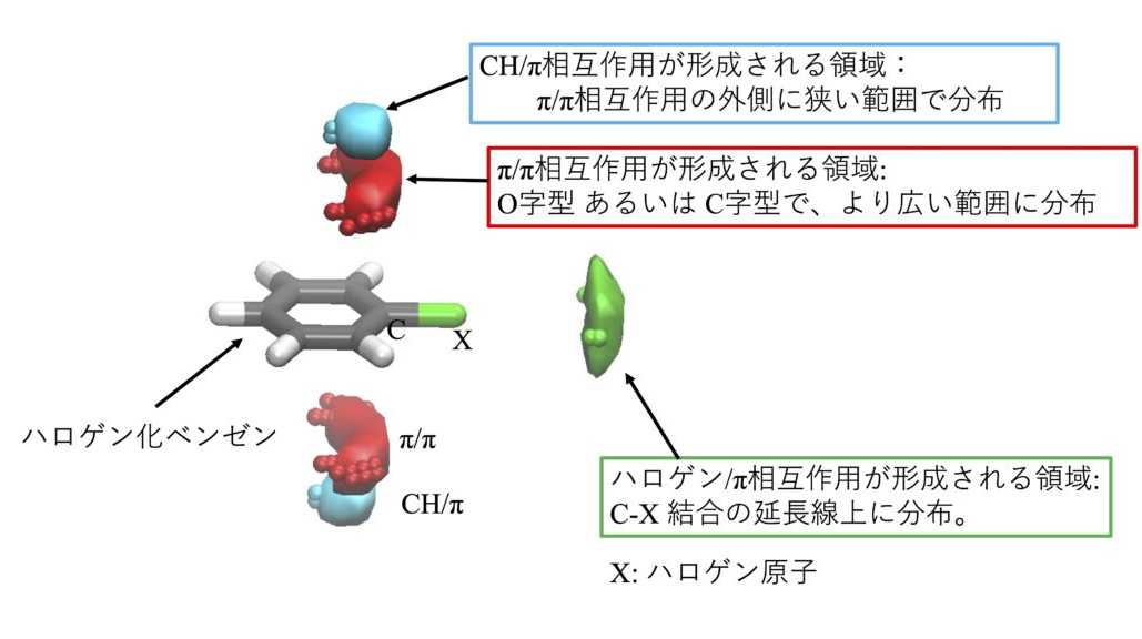昭和医科大学