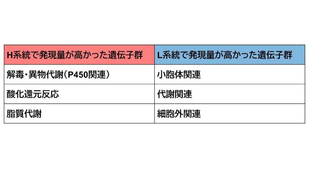 玉川大学