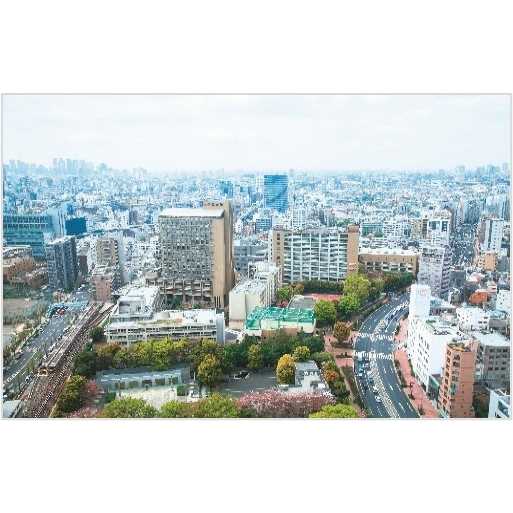 中央大学