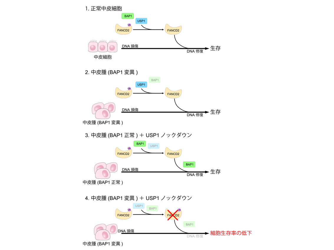 東京工科大学