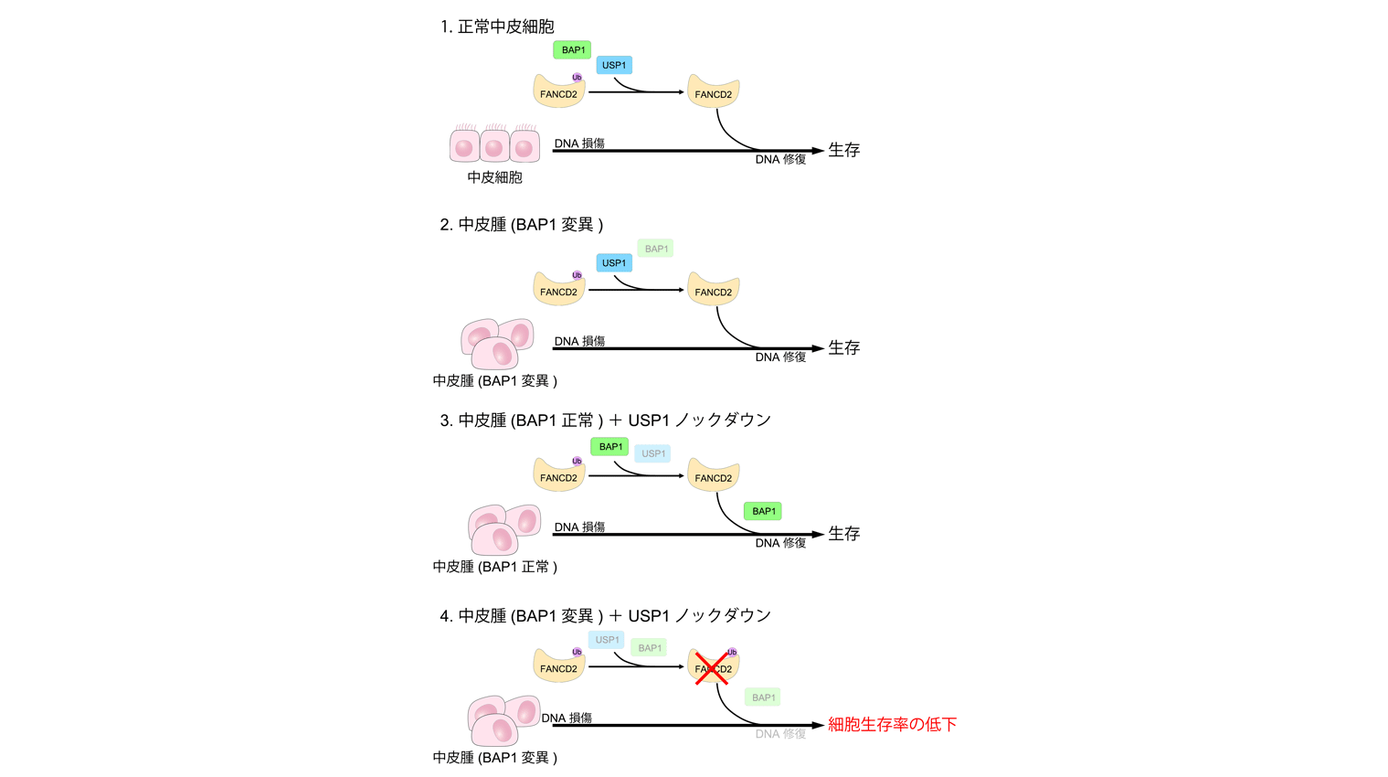 東京工科大学