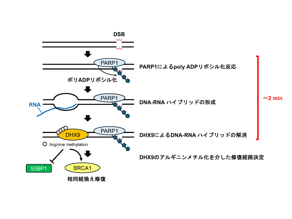東京工科大学