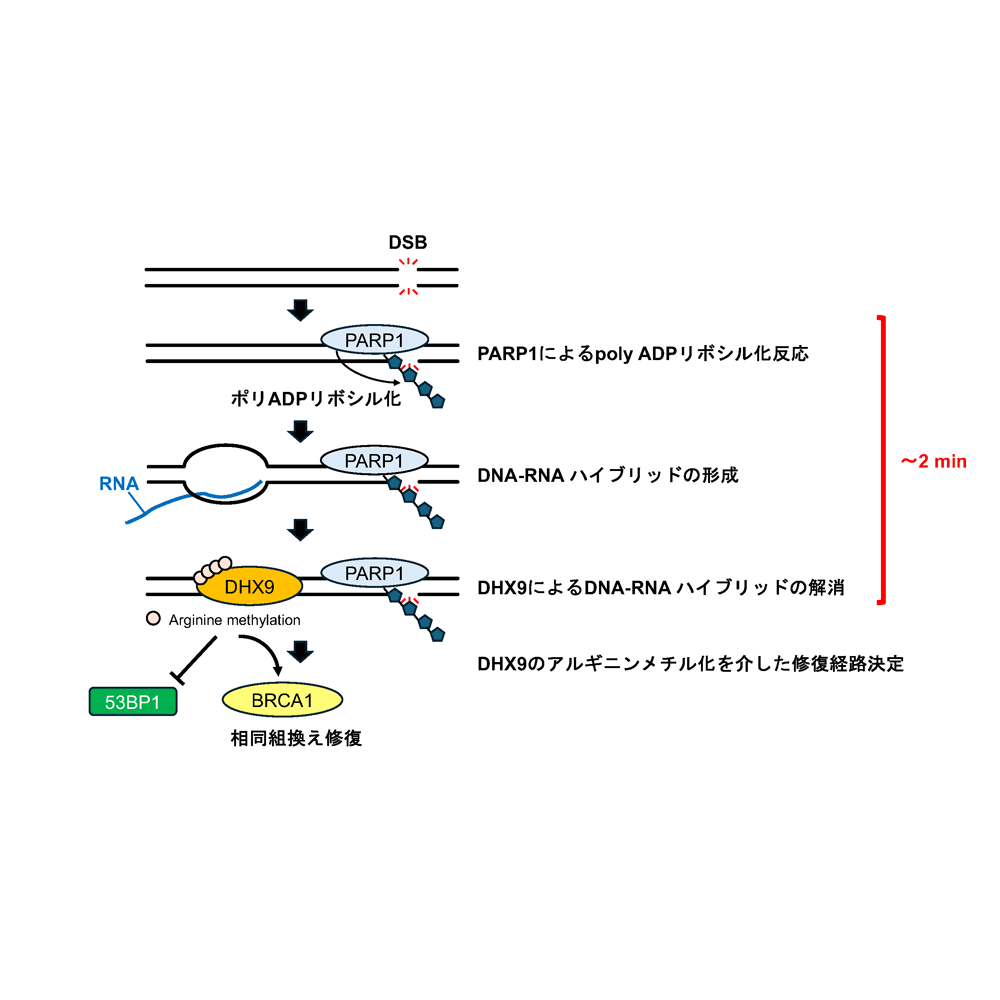 東京工科大学