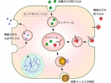 東京工科大学