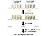 東京工科大学