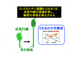 東京工科大学