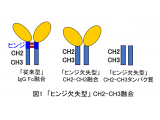 東京工科大学