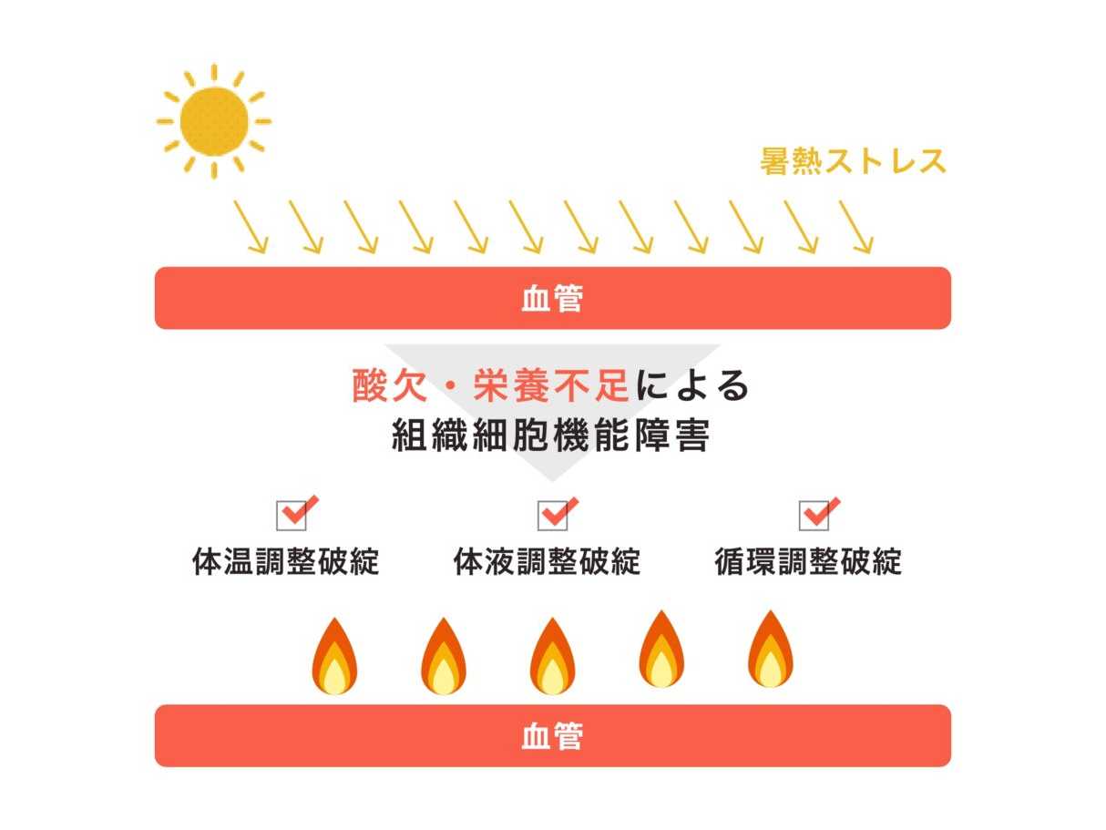 東洋大学