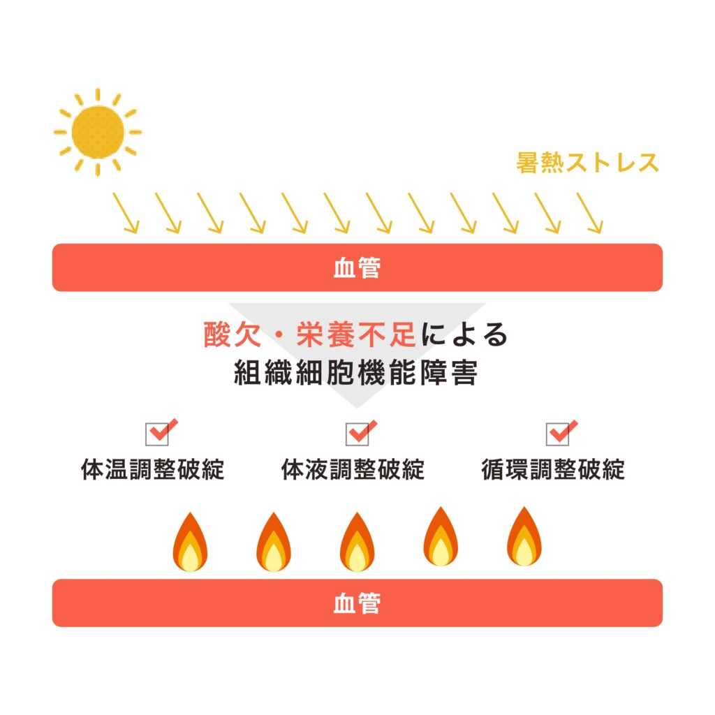 東洋大学
