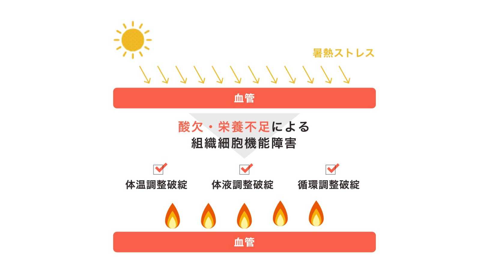 東洋大学