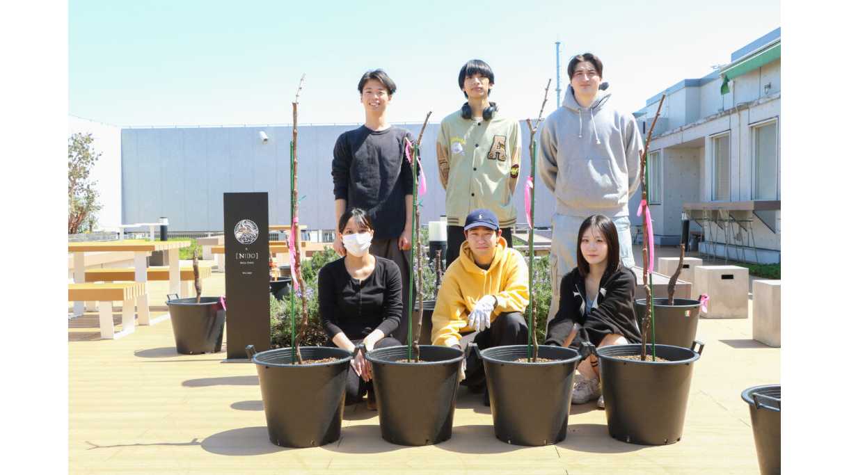 東洋学園大学