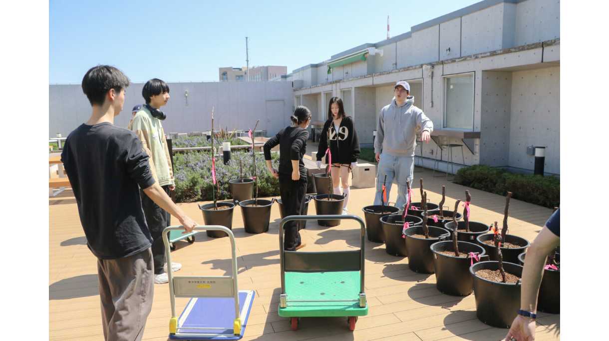 東洋学園大学