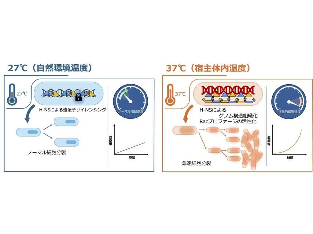 法政大学