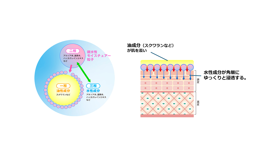 神奈川大学
