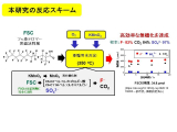 神奈川大学