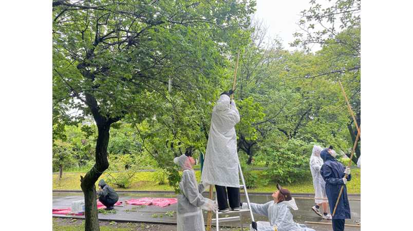 相模女子大学