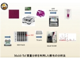 金沢工業大学