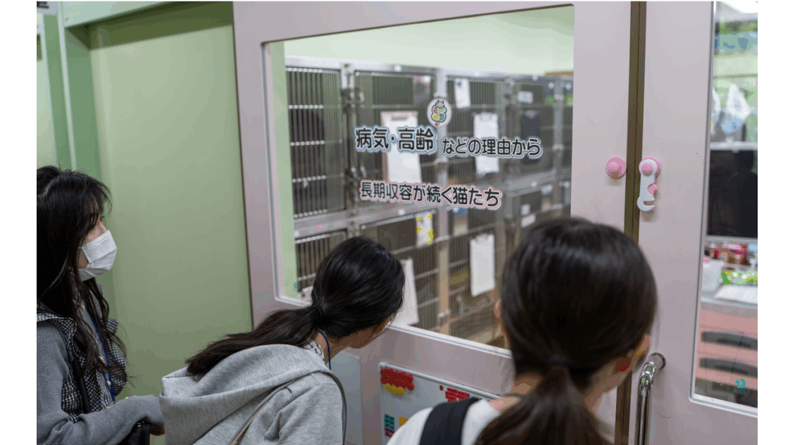 金城学院大学