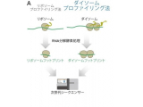 京都産業大学