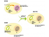 京都産業大学