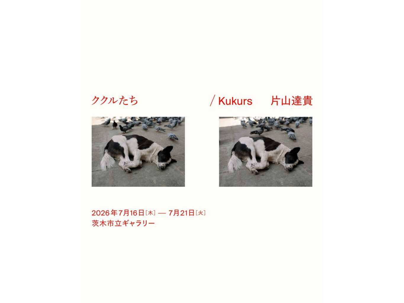 追手門学院大学