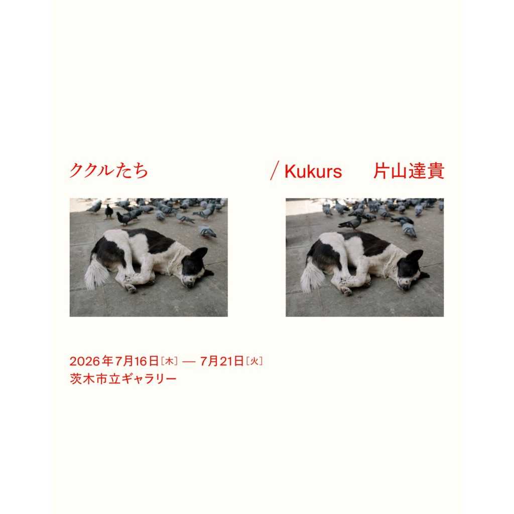 追手門学院大学