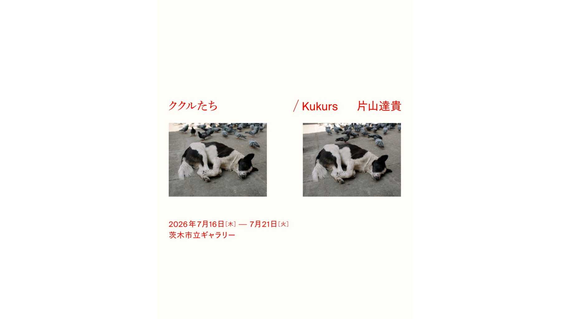 追手門学院大学