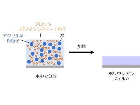 水系ポリウレタンフィルム形成の仕組みを解明　環境にやさしい塗料や接着剤への応用に期待 -- 大阪工業大学