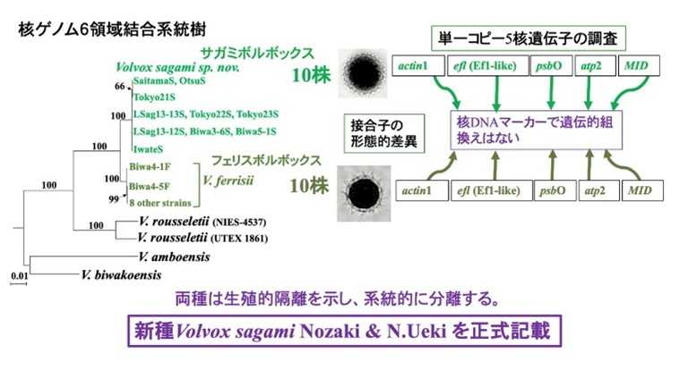 大阪工業大学