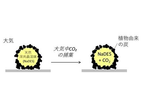 大阪工業大学