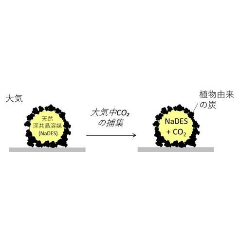 リリース