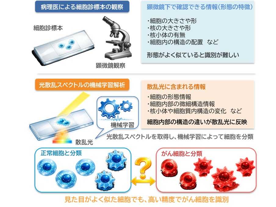 大阪工業大学