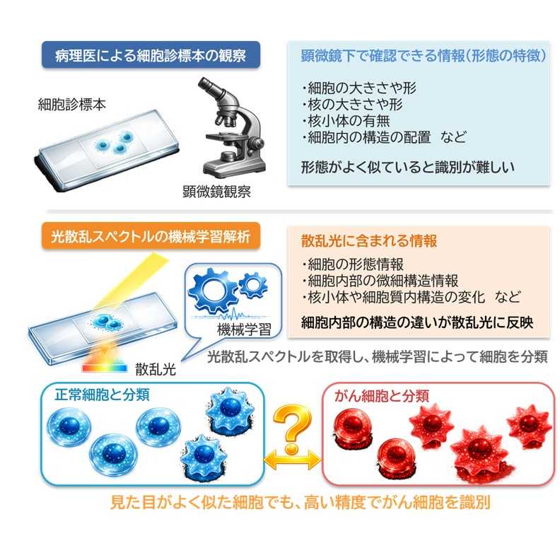 大阪工業大学
