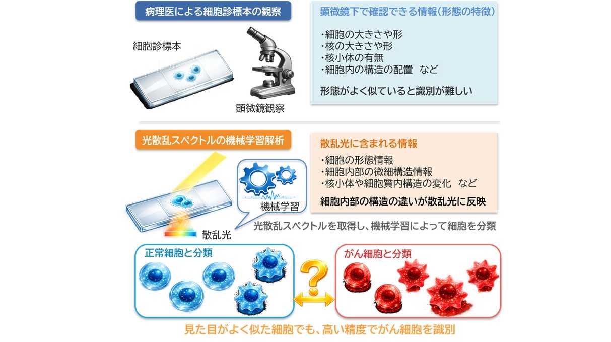大阪工業大学