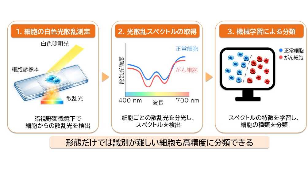 大阪工業大学
