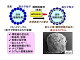 大阪工業大学