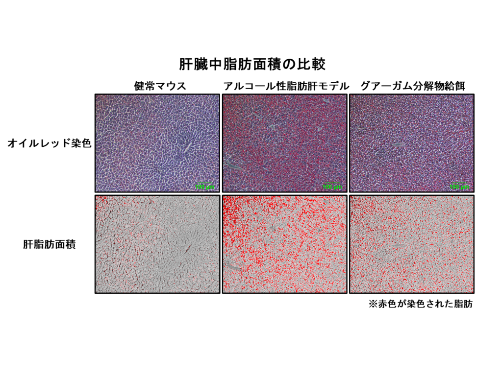 摂南大学