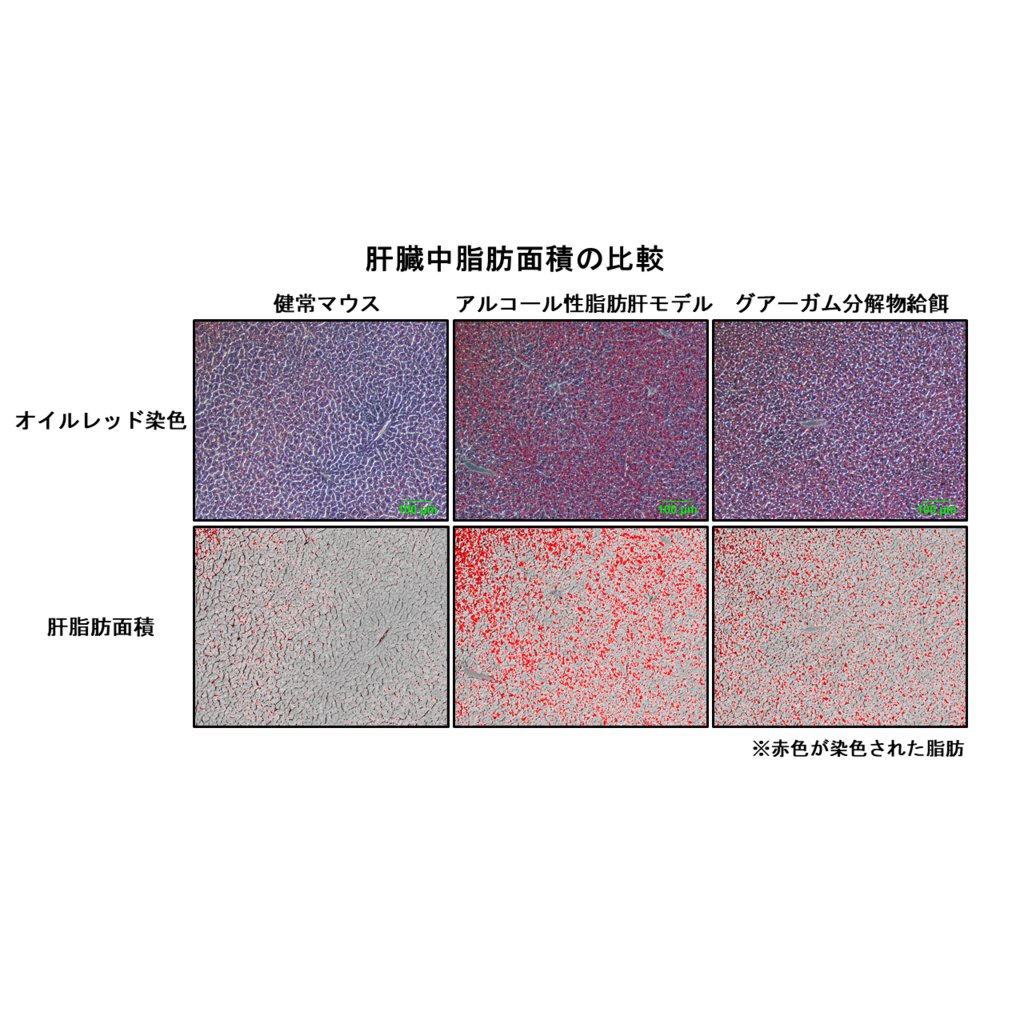 摂南大学