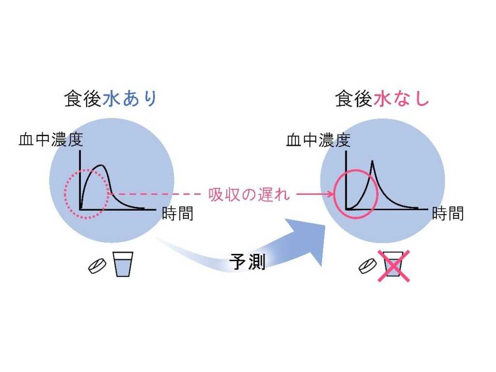 摂南大学